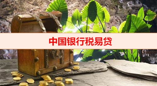 北京钱云平台-中国银行税易贷