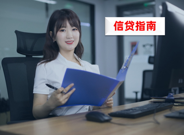 贷款指南2